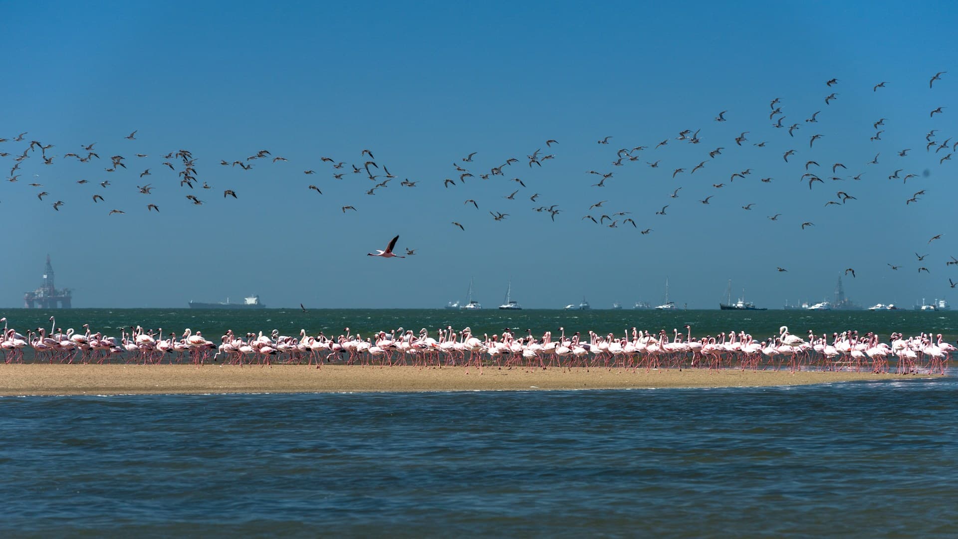 Walvis Bay
