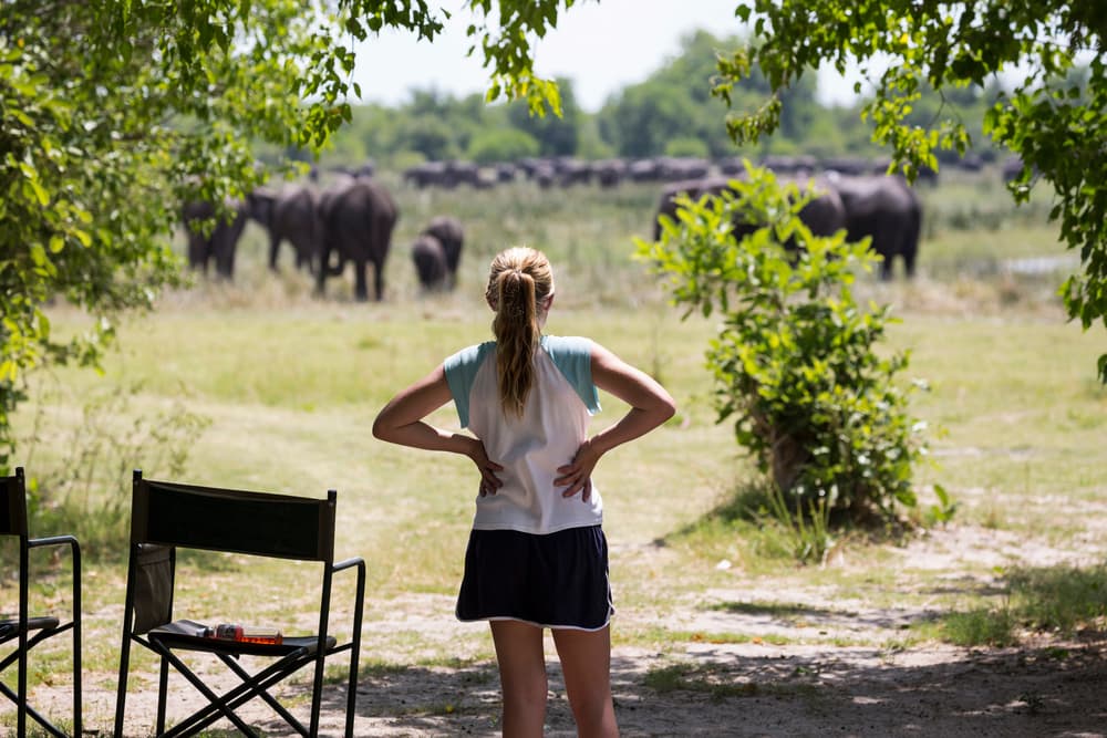 Parque Nacional de Moremi